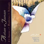کاور تکنوازی سنتور 2 (بیات ترک، فرود به شور)