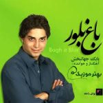 کاور سپیده
