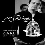 کاور دیوونه بازی