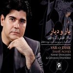 کاور تصنیف بدرود