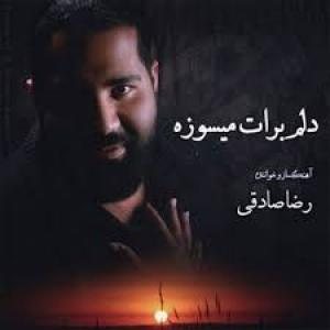 کاور آلبوم دلم برات میسوزه از رضا صادقی