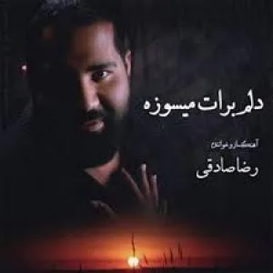 کاور آلبوم دلم برات میسوزه از رضا صادقی