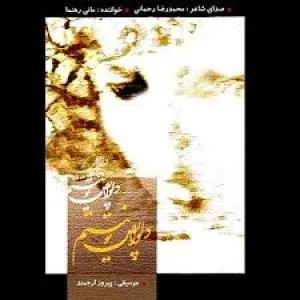 کاور آلبوم دلواپس تو نیستم از مانی رهنما