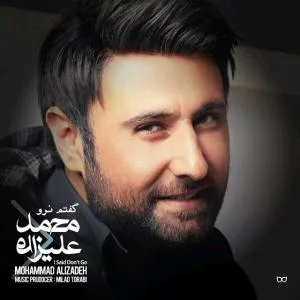 کاور آلبوم گفتم نرو از محمد علیزاده