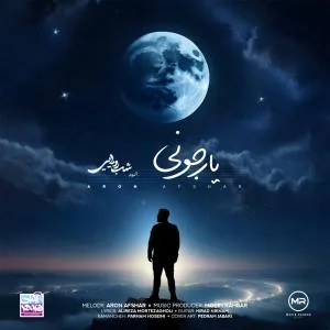 کاور آلبوم شب رویایی از آرون افشار